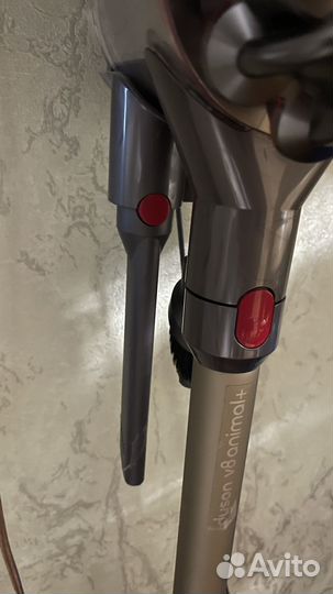 Пылесос Dyson v8 absolute