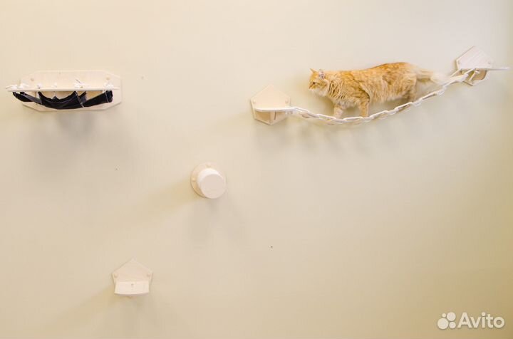 Комплекс для кошек 
