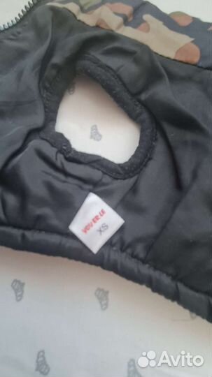 Одежда для собак мелких пород