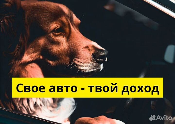 Ищем водителей на своих авто в Яндекс.Go