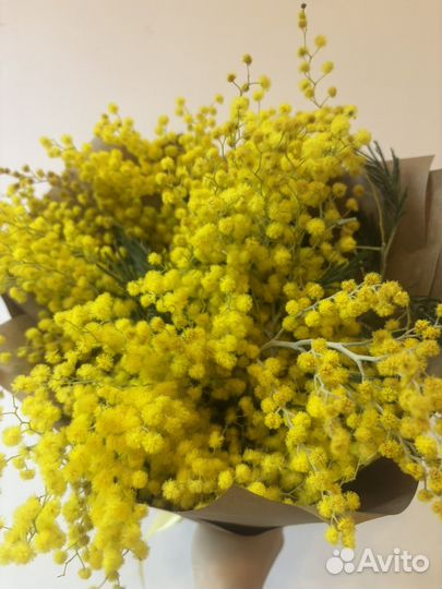 Букеты с ароматной мимозой