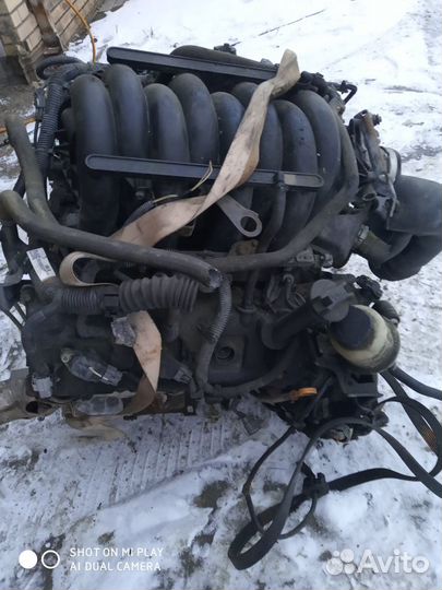 Двигатель Infiniti QX56 Инфинити кх56 VK56DE 2008