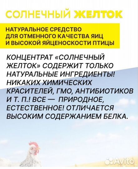 Премикс (добавка в комбикорм) для кур Желток