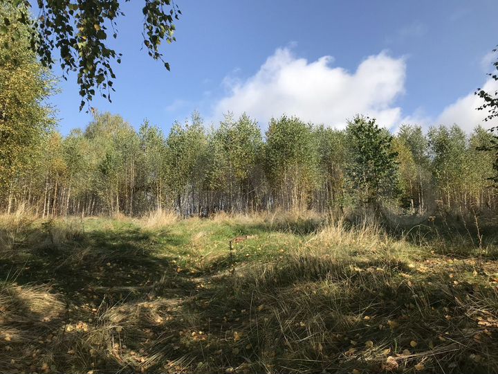 Участок 9,8 га (ИЖС)