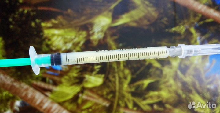 Пчелиное молочко. Пенза 2023г