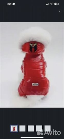 Комбинезон для маленькой собаки