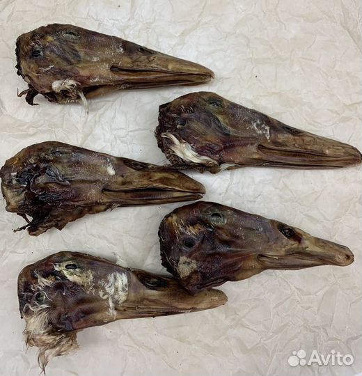 Сушеные лакомства для собак