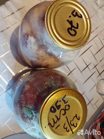 Сало соленое домашнее