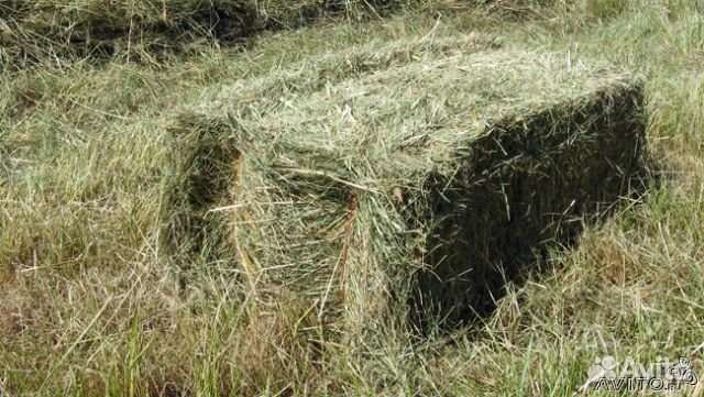 Сено в тюках