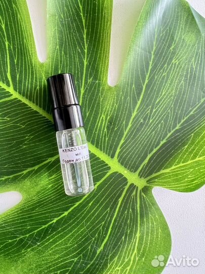 Отливанты Kenzo, Juliette Has