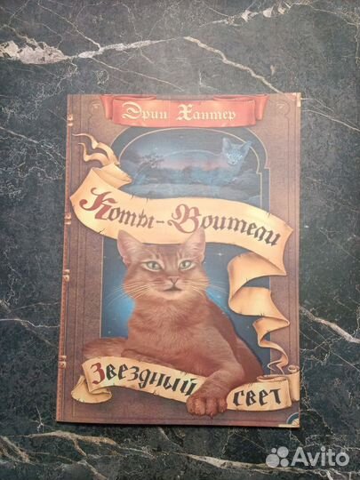 Коты-Воители