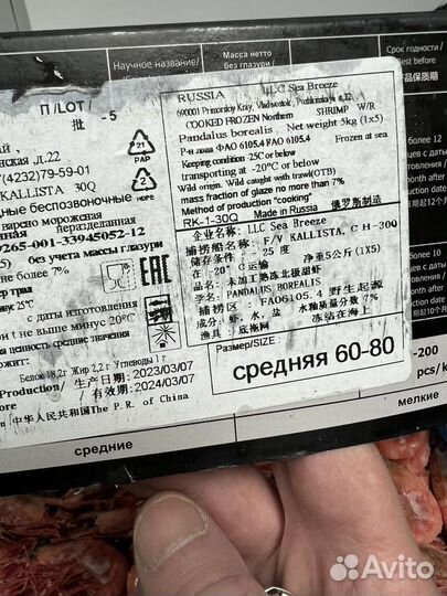 Креветка северная 5 кгразмер 60-80