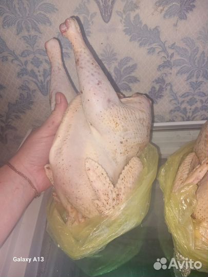 Мясо домашней птицы