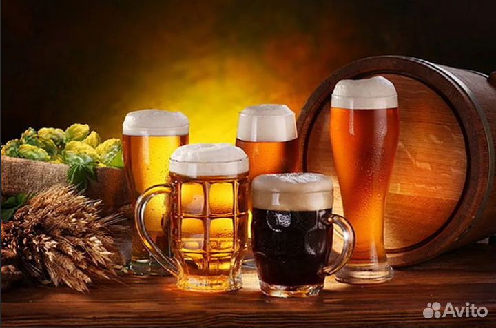 Продавец-кассир/ бармен разливного пива