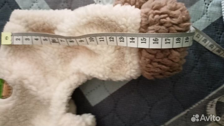 Костюм для собаки