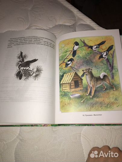 Хрестоматия для детского чтения про зверей и птиц