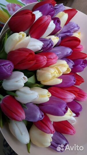 Тюльпаны к 8 марта