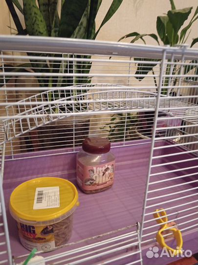 Клетка для грызунов большая