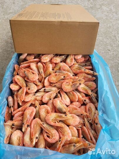 Креветки, крабы, мидии, морепродукты