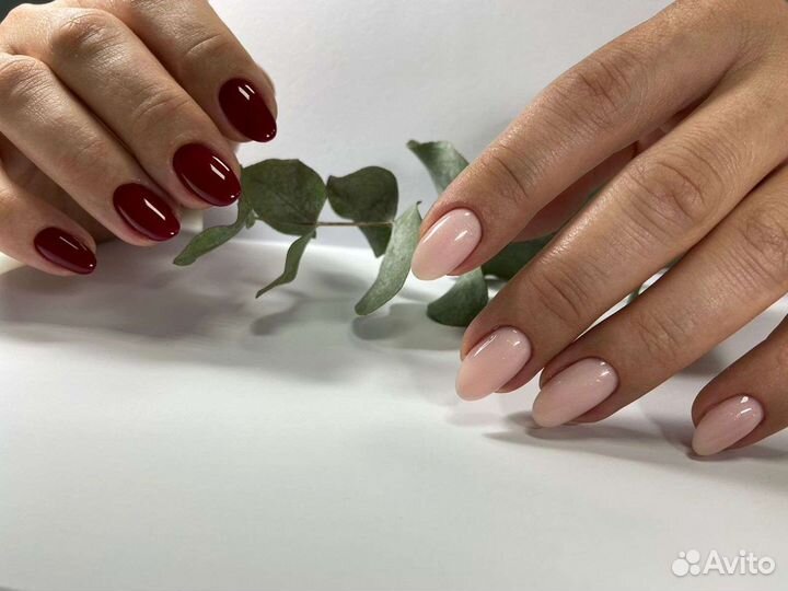 Педикюр, маникюр, брови