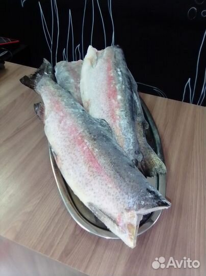 Рыба Форель свежемороженая
