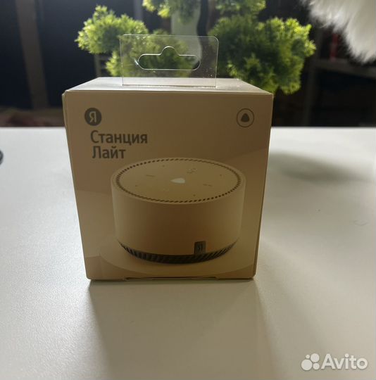 Яндекс станция алиса lite