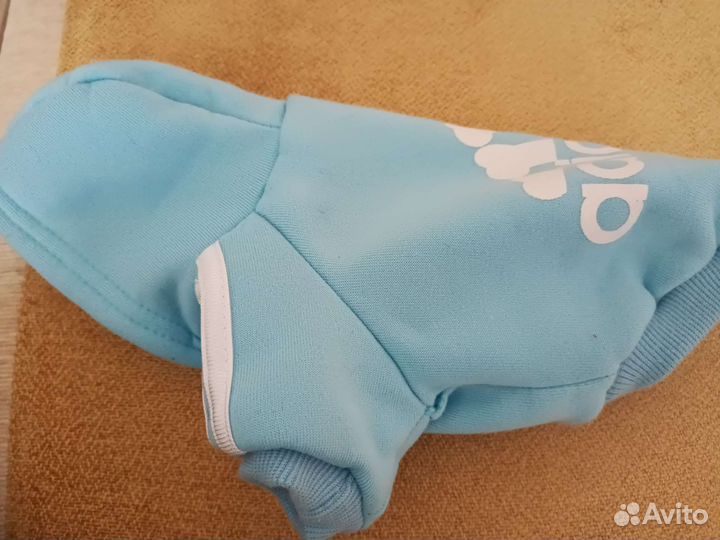 Одежда для маленьких собак