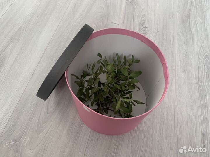 Коробка подарочная круглая Шляпные коробки