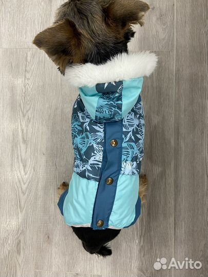 Зимний комбинезон для собак мелких пород