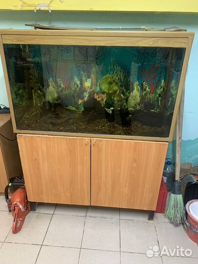 Аквариум
