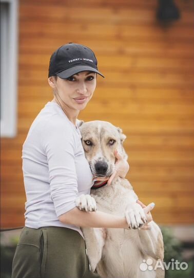 Айза ищет семью