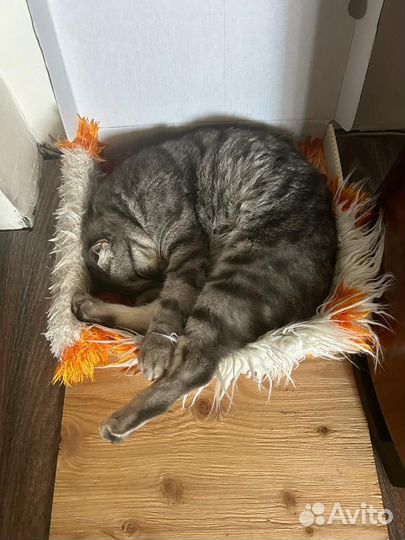 Домик для кошки с когтеточкой