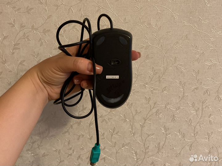 Компьютерная мышь