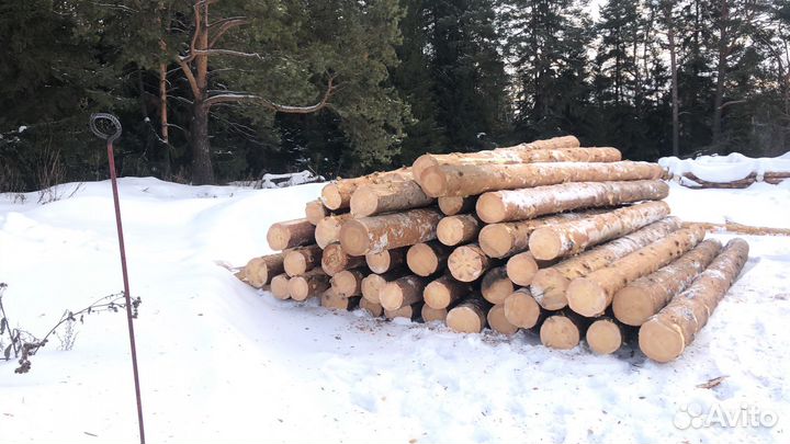 Срубы