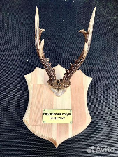 Медальон для трофеев