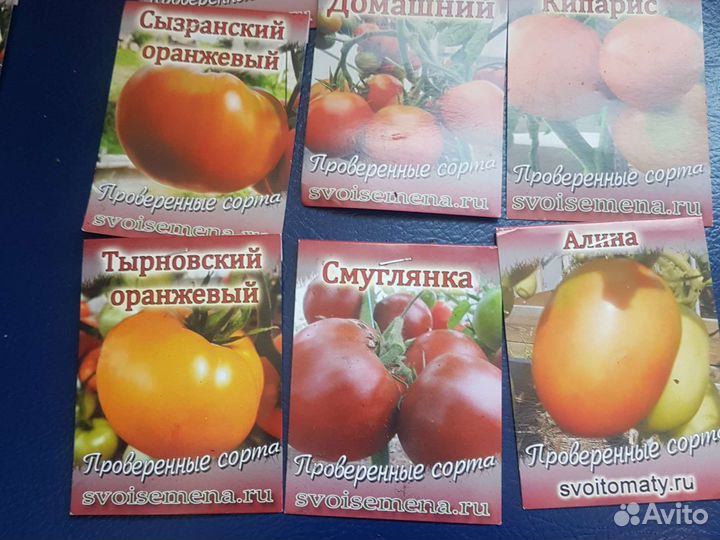 Рассада томатов в медведева