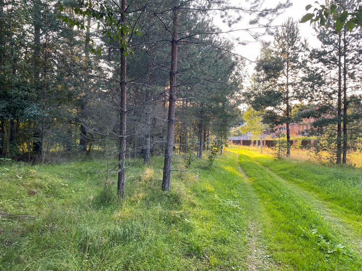 Участок 10 сот. (ИЖС)