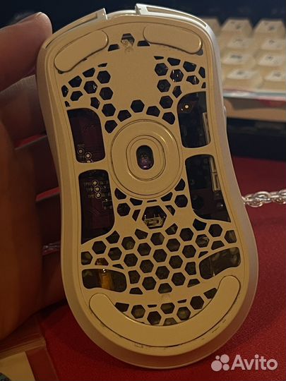 G wolves hati s plus 4k