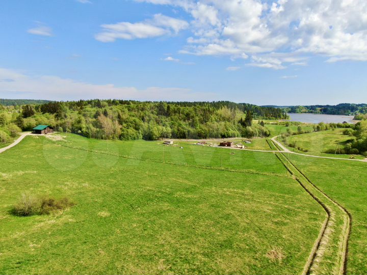 Участок 42 сот. (СНТ, ДНП)