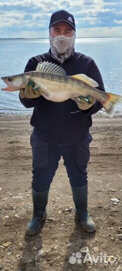 Рыбалка с гидом там где клюет