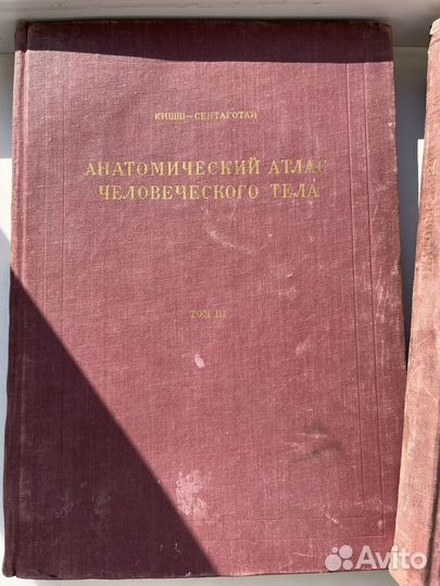 Анатомический атлас человеческого тела Будапешт