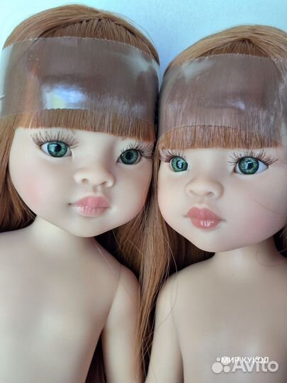 Люмита Паола Рейна