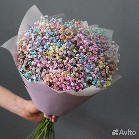 Гипсофила оптом