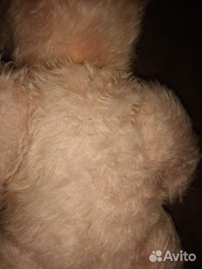 Плюшевый медведь