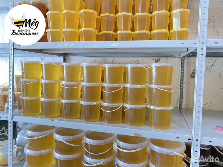 Мед настоящий свежий. Урожай 2023
