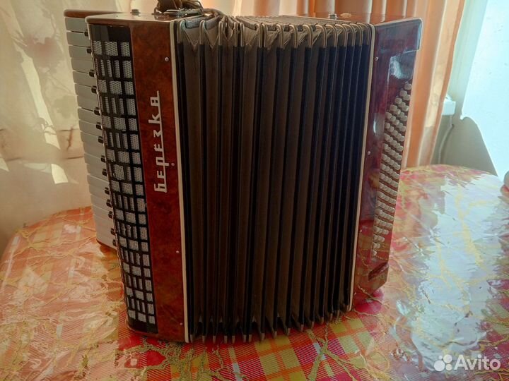 Аккордеон Березка