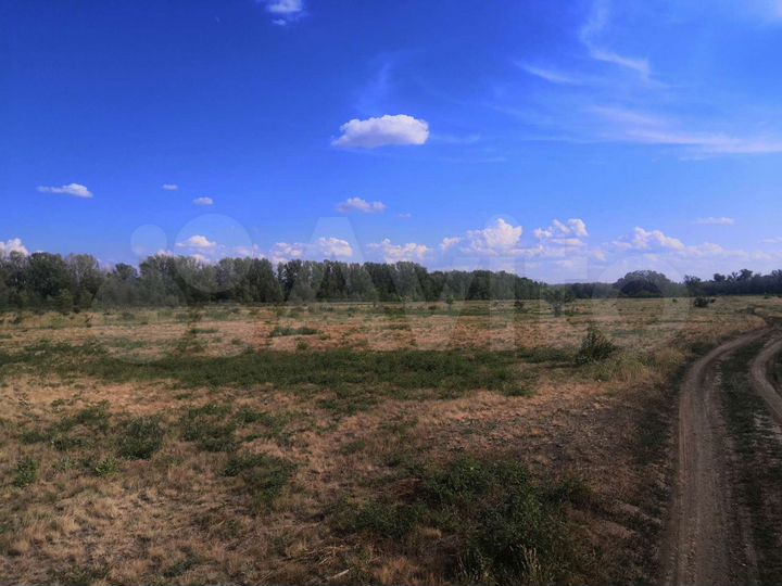 Участок 6 га (СНТ, ДНП)