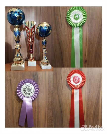 Вязка кобель бигль