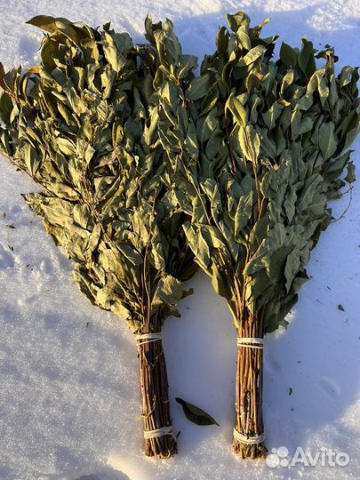 Веники для бани