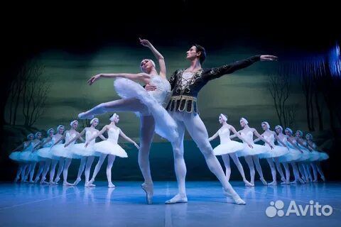 Билеты на лебединое озеро